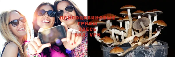 каннабис Арсеньев